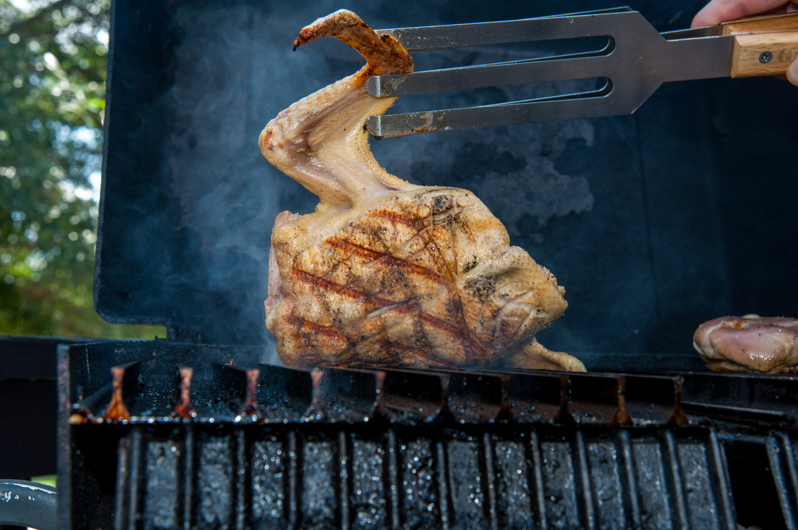 Grilled Spatchcock Duck - GrillGrate
